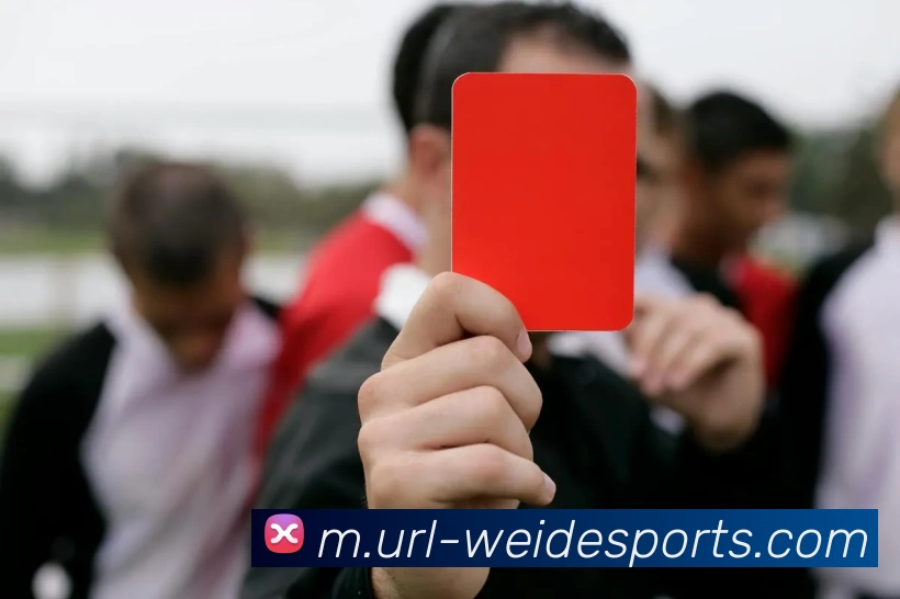 韦德体育品牌故事