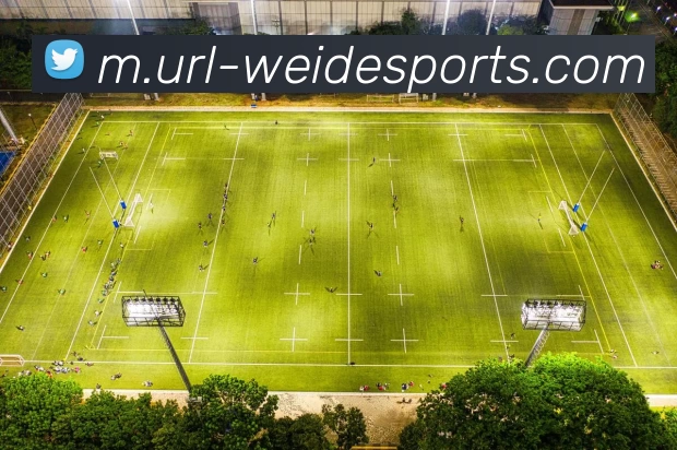 韦德体育服务体系